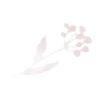 Icon-4
